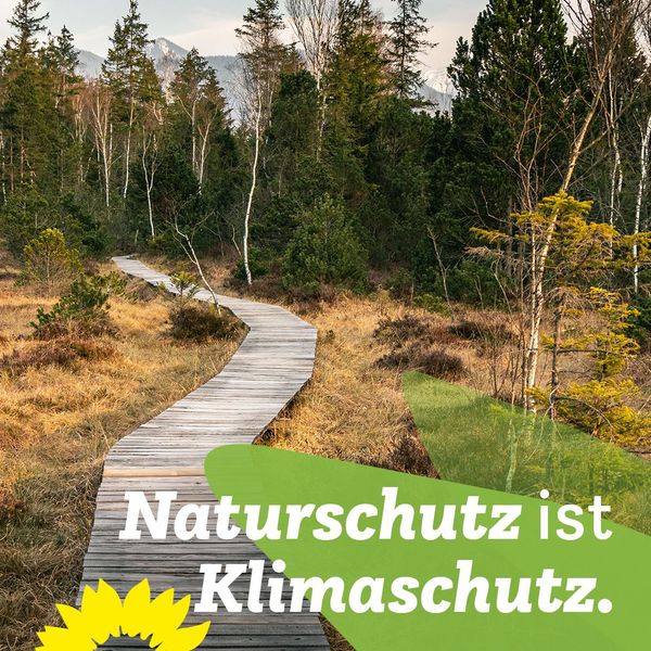 Aktionsprogramm Natürlicher Klimaschutz:Natur als natürliche Verbündete gegen die Klimakrise