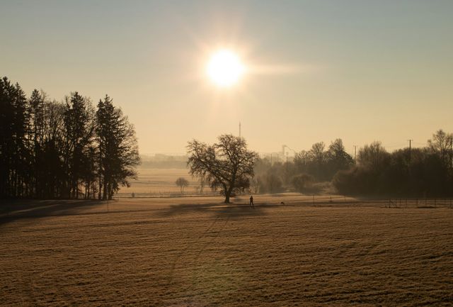 93,2 Millionen Euro KfW-Förderung im 1. Halbjahr 2024 für Schwandorf, Cham und das Regensburger Land!