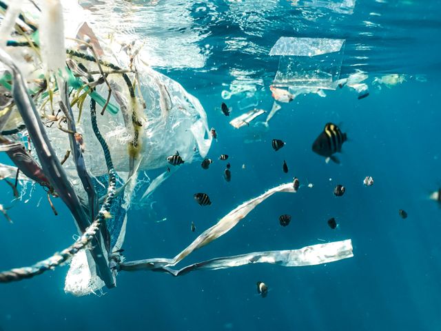 Abgabe auf Einwegplastik: Hersteller*innen zahlen für Plastikmüll