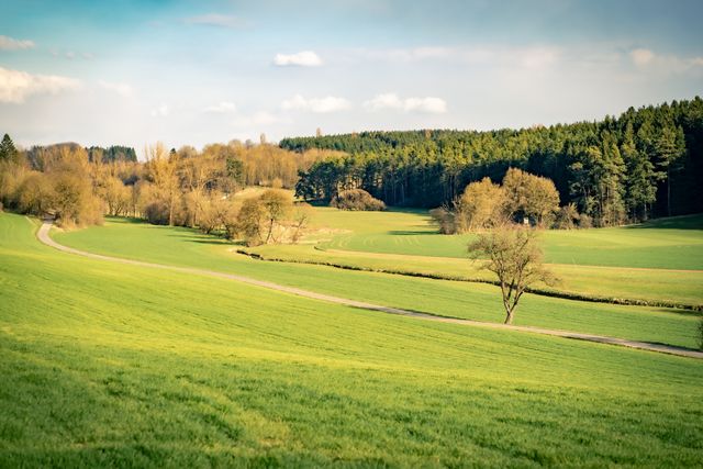Förderrekord im ländlichen Raum: Grüne Politik wirkt in Schwandorf und Cham