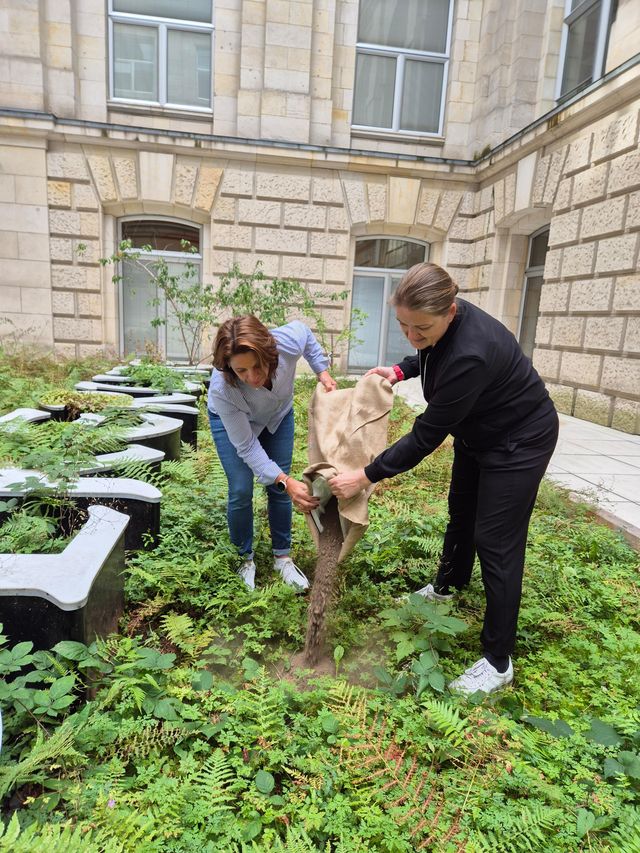 Erde von Schwandorf nach Berlin: Die Grundschule Klardorf im Kunstprojekt "Der Bevölkerung"